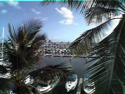 The harbor view from the apartment
