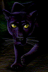 panther.gif (8689 bytes)