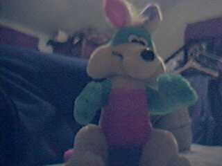 stuffcoyote.jpg (5328 bytes)