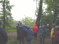 Misty on May Hill