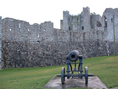 Canon at Trim Castle