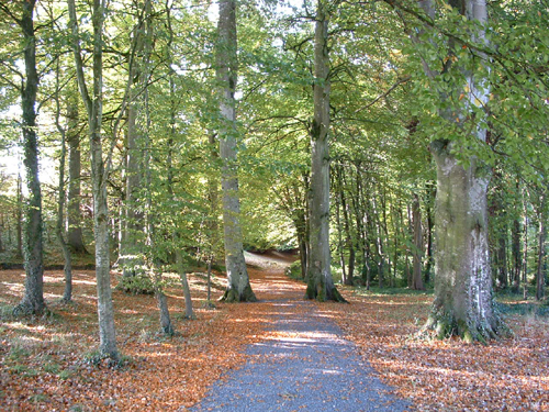 Killiney Hill