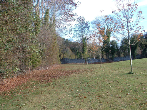 The Dart Line