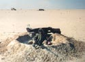 foxhole1 small
