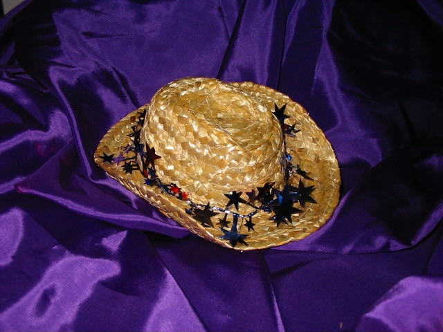 patriotic cowboy hat #1 only $5plus shipping