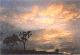 Cloudy Sunset
