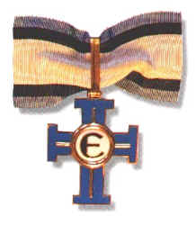 The Earth Fleet Efficiency Medal
