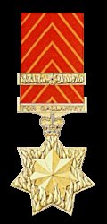 The Medal of Gallantry