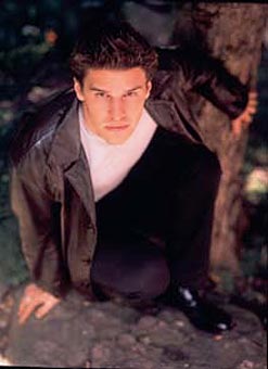 Angel - Season 1