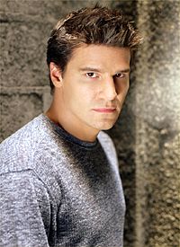 David in Grey Jumper