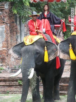 Plaiwong, an 80 year old elephant, and his mahout, Mai in the ruins of Ayutthaya.