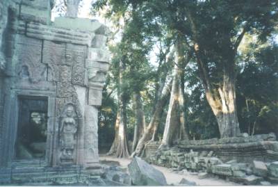 Beautiful APSARA "Angel" carved in the ancient stone of TA PROHM