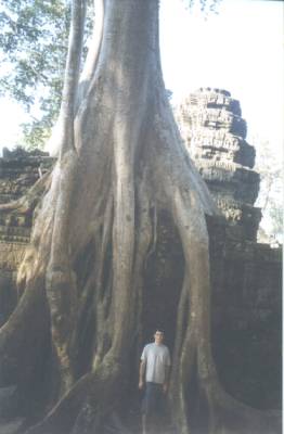 Standing under the ancient tree roots of TA PROHM feels like your body is stretching up to the sky!