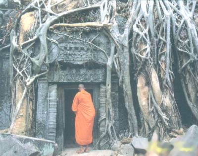 Tiny doorways lead into magical mazes within the temple of TA PROHM...