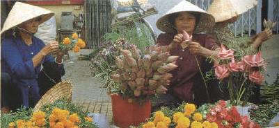 Beautiful Flower Market