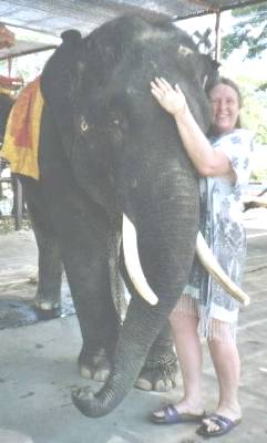 Yod Yim is a sweetheart.&nbsp; He is very affectionate...
