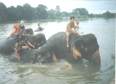 At the end of the day, everyone hits the river to cool off...