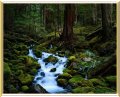 Mossy Creek