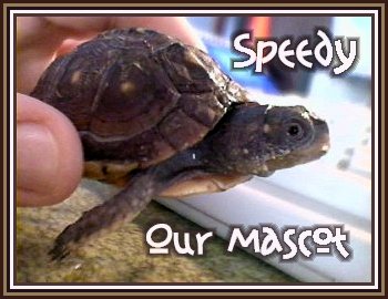 Speedy - Our Mascot