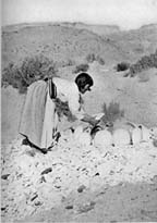 A Hopi potter preparing to fire pottery bowls, New Mexico, c1910