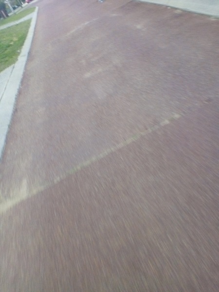 trip home