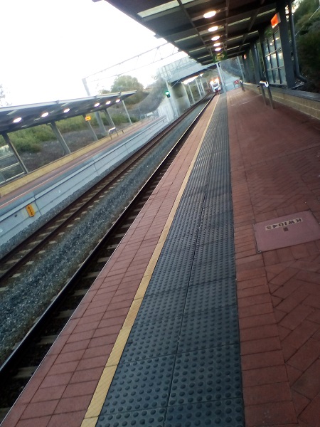 trip home