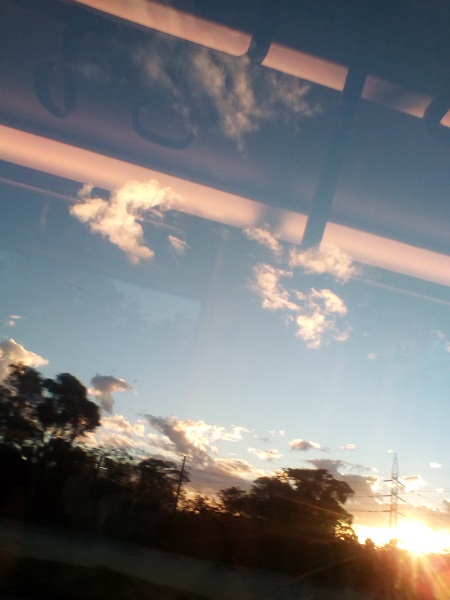 trip home