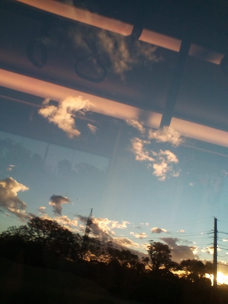 trip home
