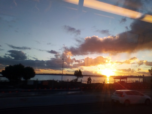 trip home