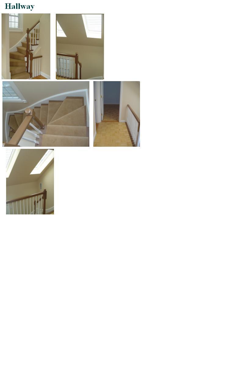 Photos