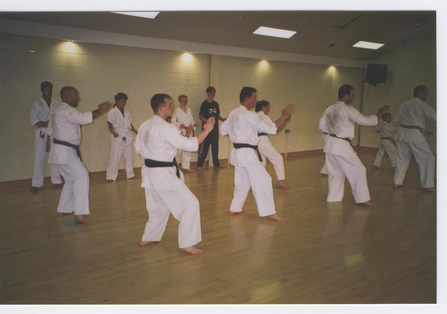 Practising Kihon