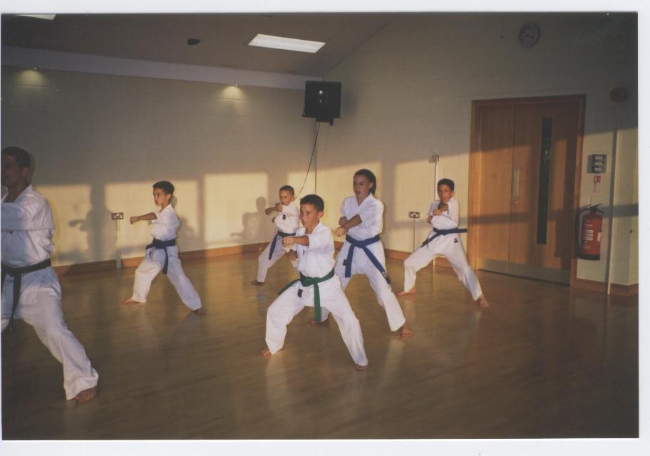 Juniors Practising Kihon
