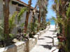 EL_Encanto-20