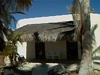 rear