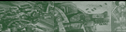 Space Marines