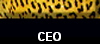 CEO
