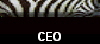 CEO
