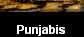 Punjabis