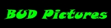 BUD PICTURES!!!!!