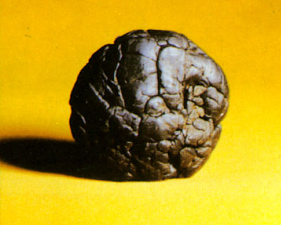 Temple Ball