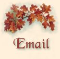email button