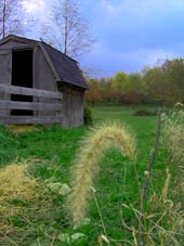 barn.jpg