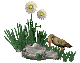 Easy Rock Internet Cafe, Westendnegril