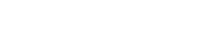 EasySkate