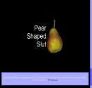 The PSS