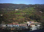 Cuadriella .jpg (51176 bytes)