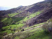 valle4.jpg (98919 bytes)
