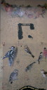 photo11-1t.jpg