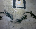 photo17-1t.jpg