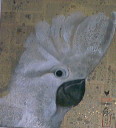 photo44t.jpg